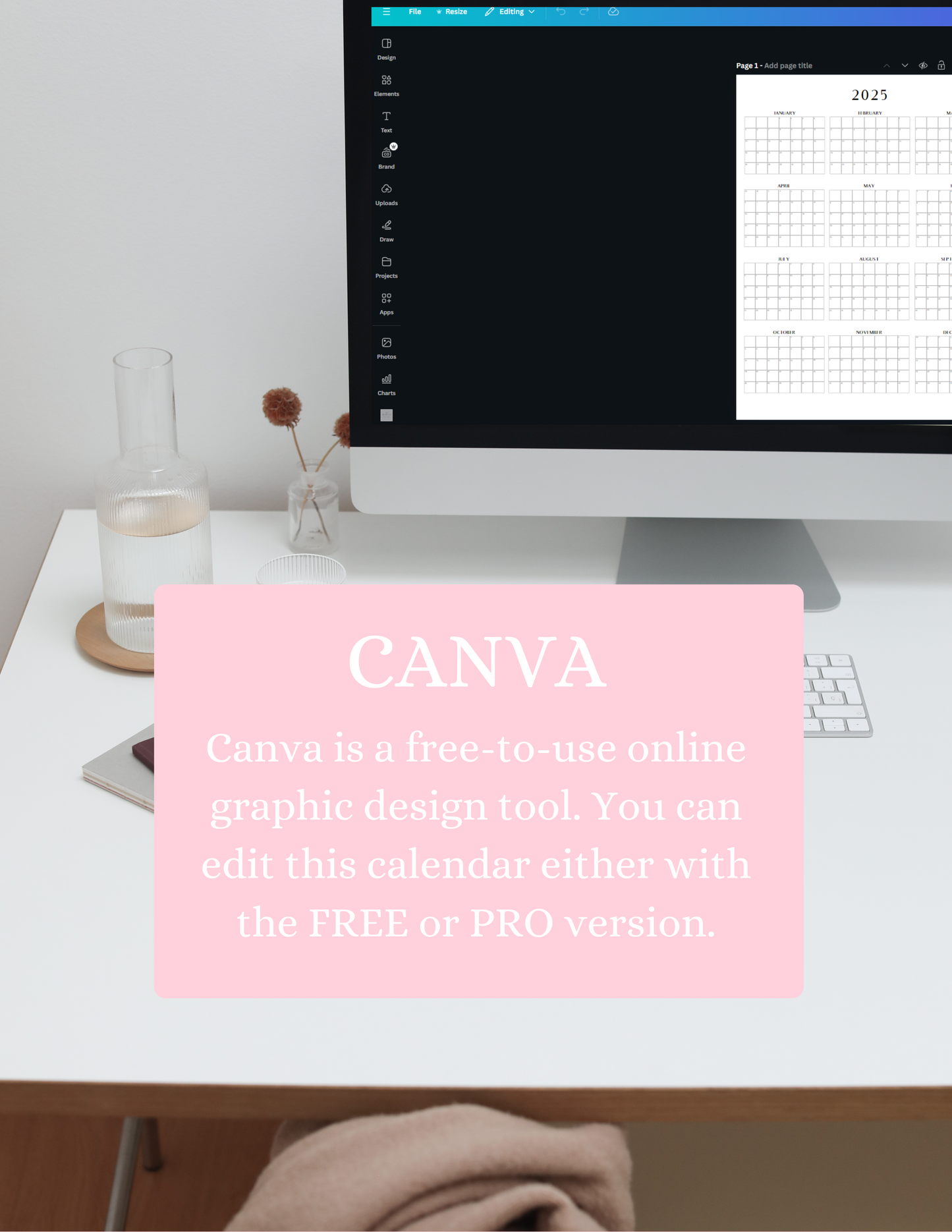 2025 Year at a Glance - Canva Editable Template