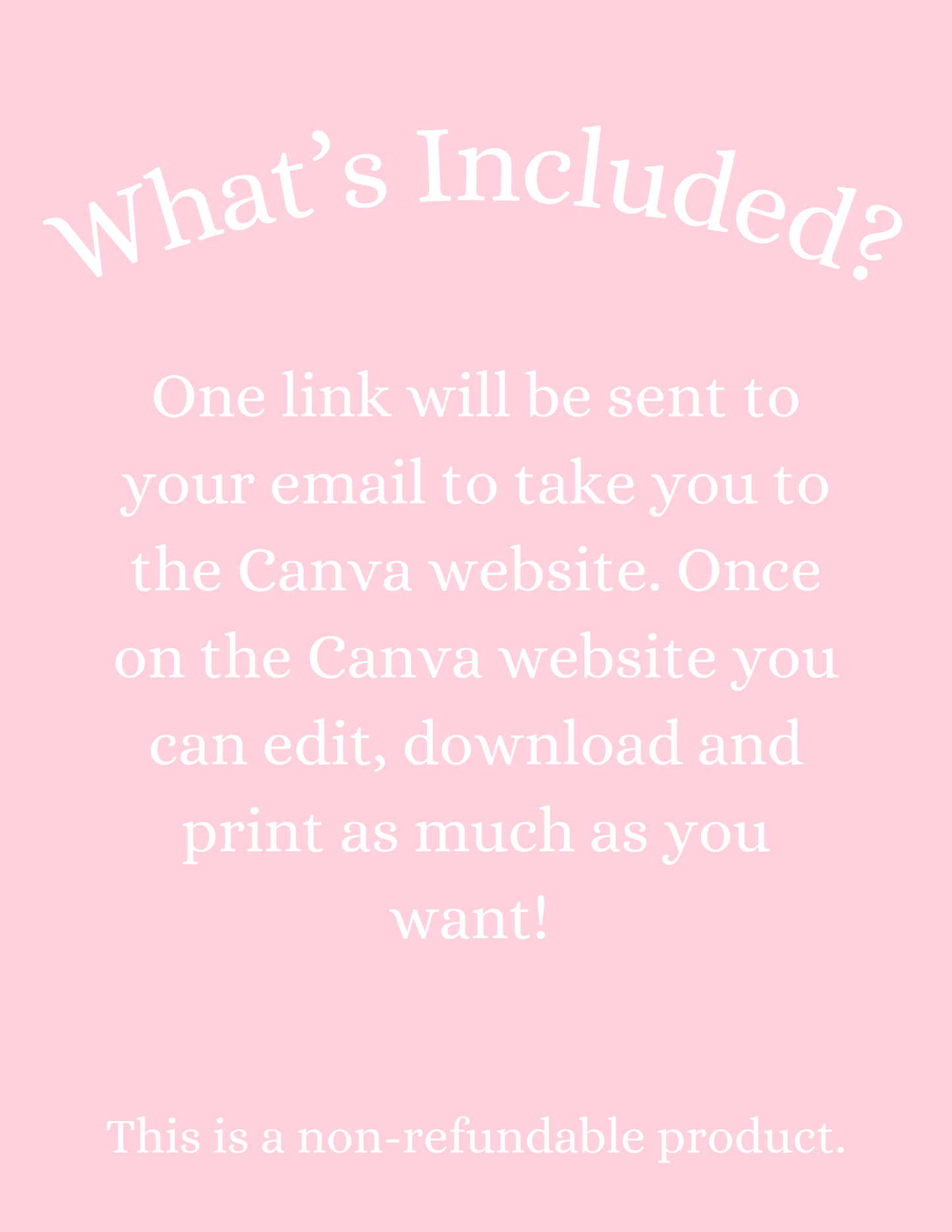 2025 Year at a Glance - Canva Editable Template