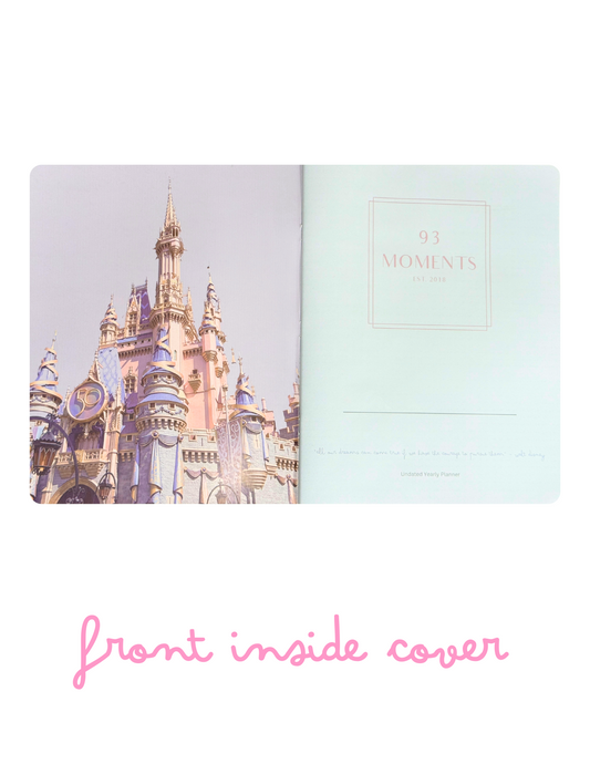 Pink Theme Park Planner with Rose Gold Foil